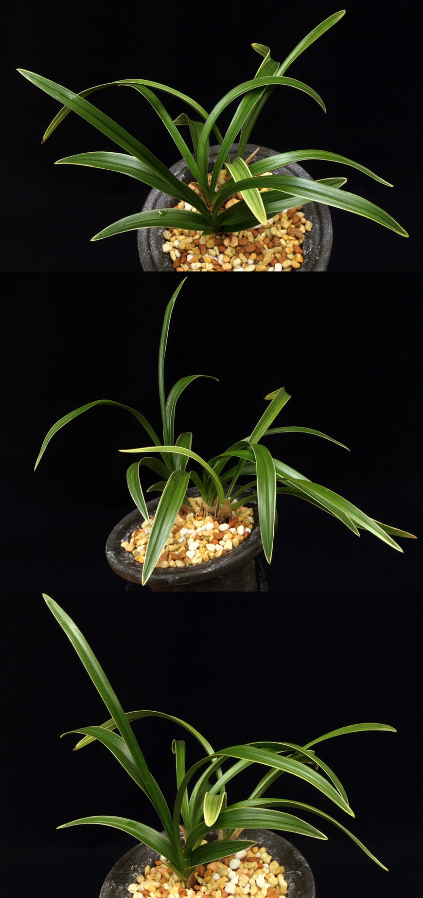 ������ ū������ �� �� �ֽ��ϴ�.