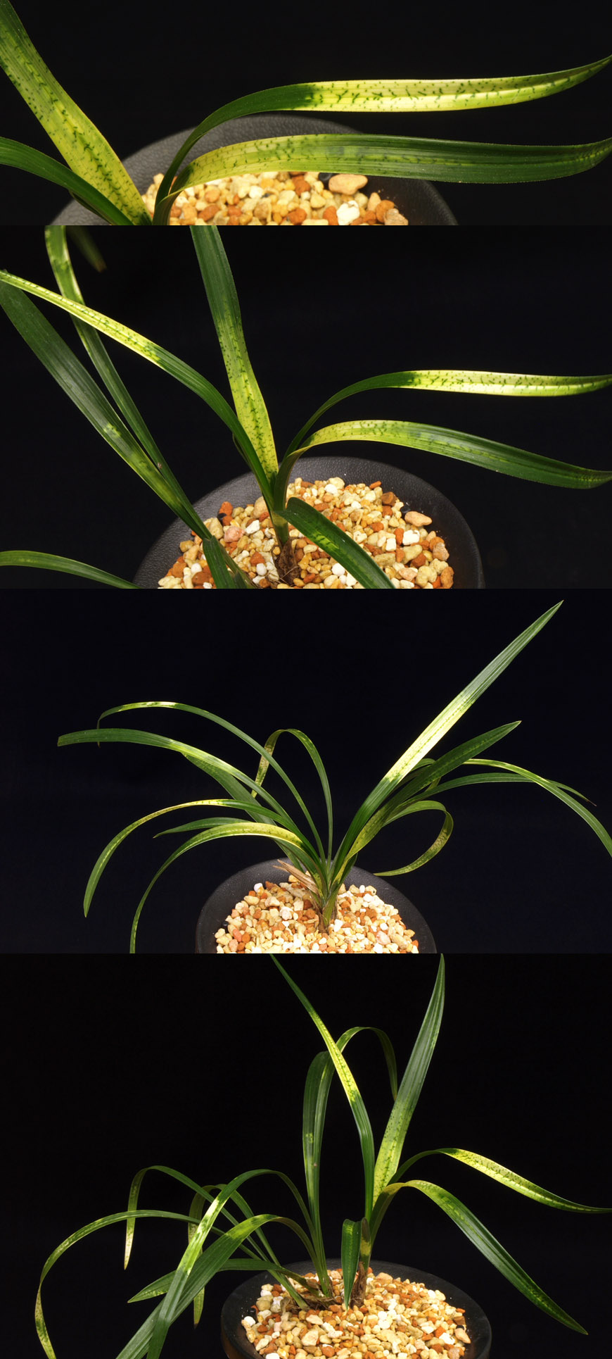 ������ ū������ �� �� �ֽ��ϴ�.