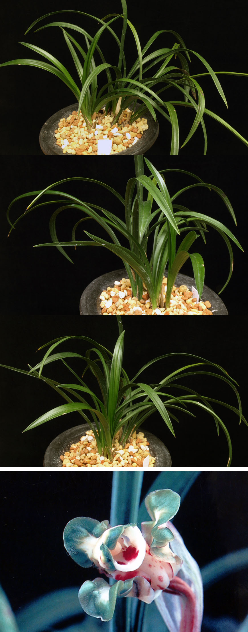 ������ ū������ �� �� �ֽ��ϴ�.