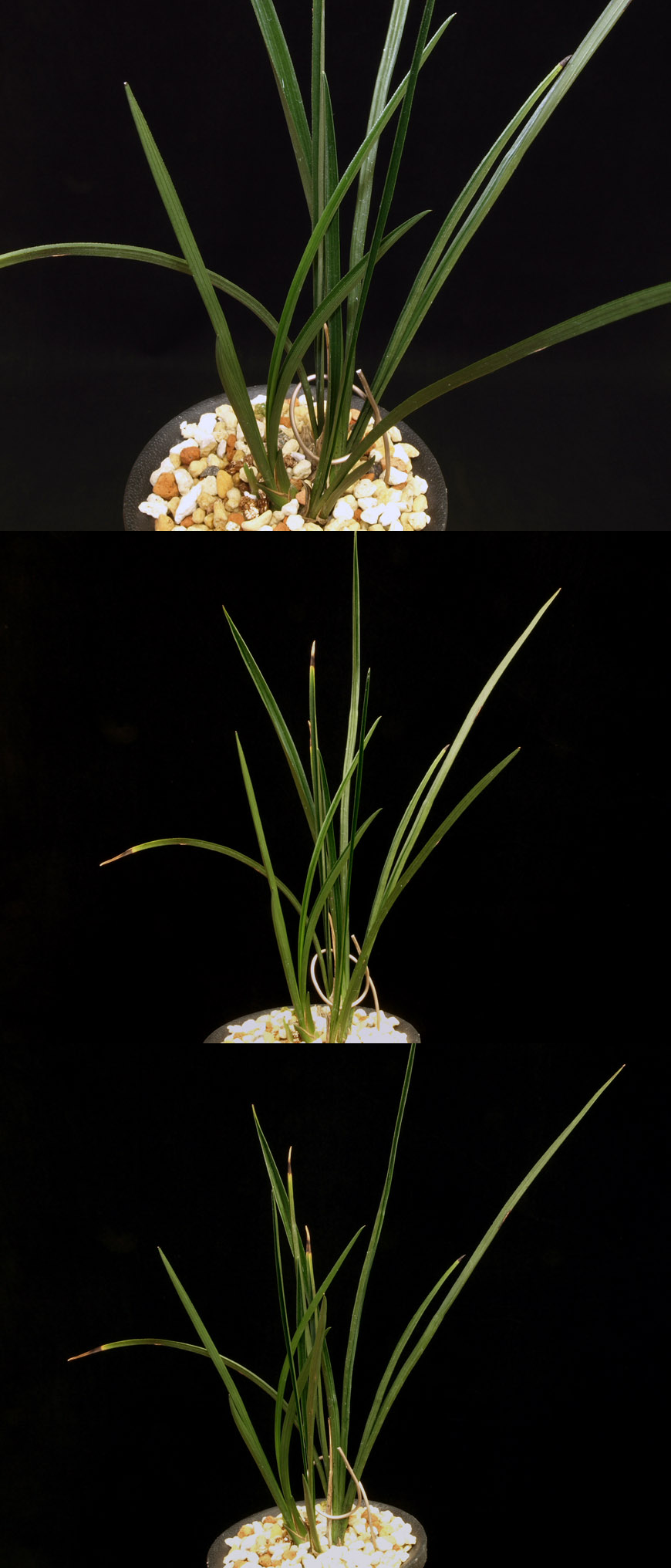 ������ ū������ �� �� �ֽ��ϴ�.