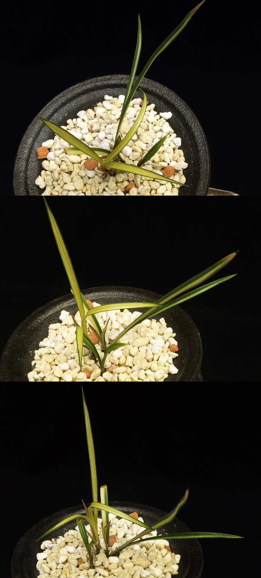 ������ ū������ �� �� �ֽ��ϴ�.