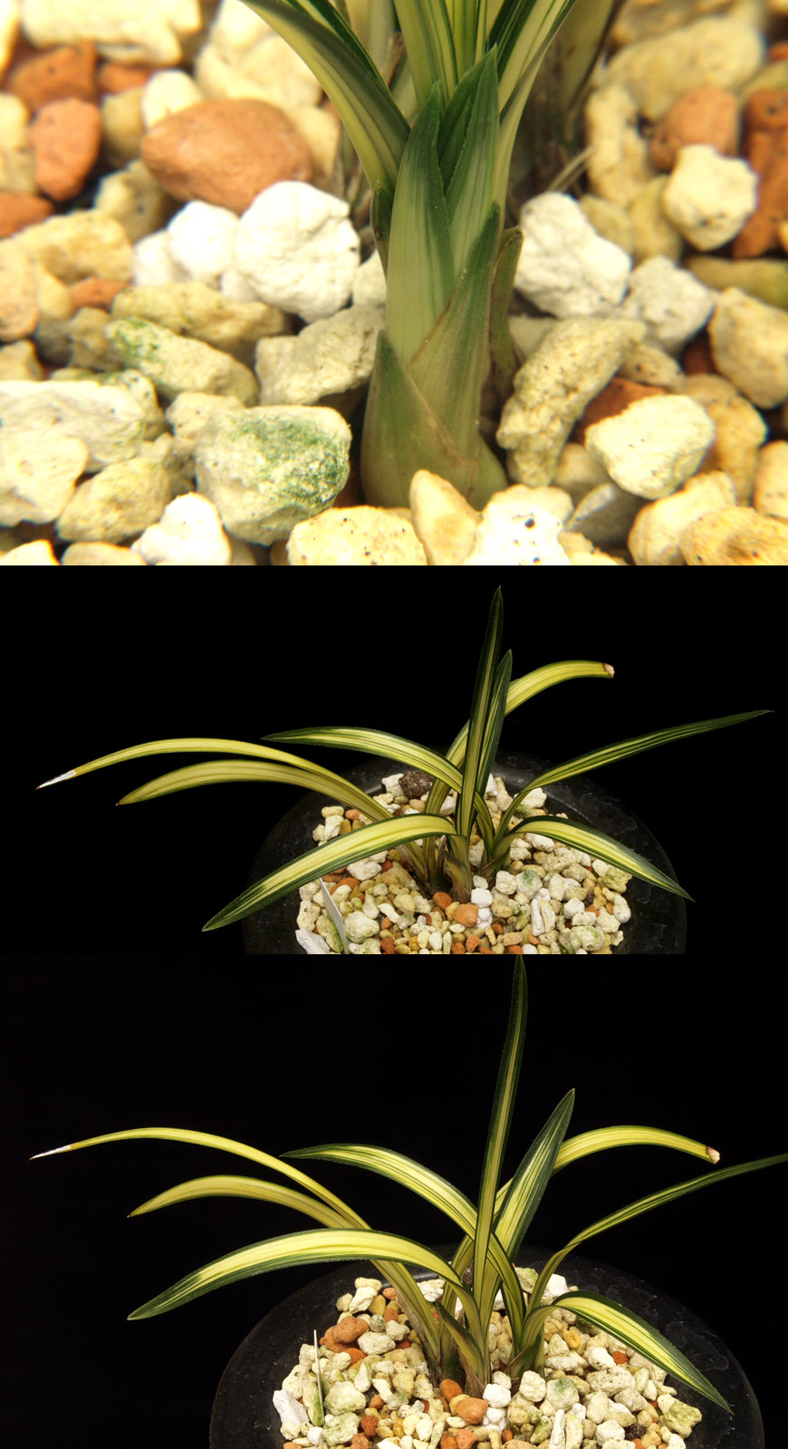 ������ ū������ �� �� �ֽ��ϴ�.