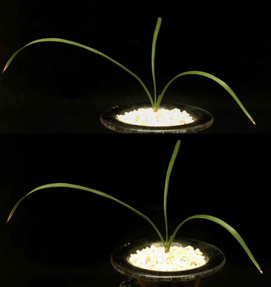 ������ ū������ �� �� �ֽ��ϴ�.