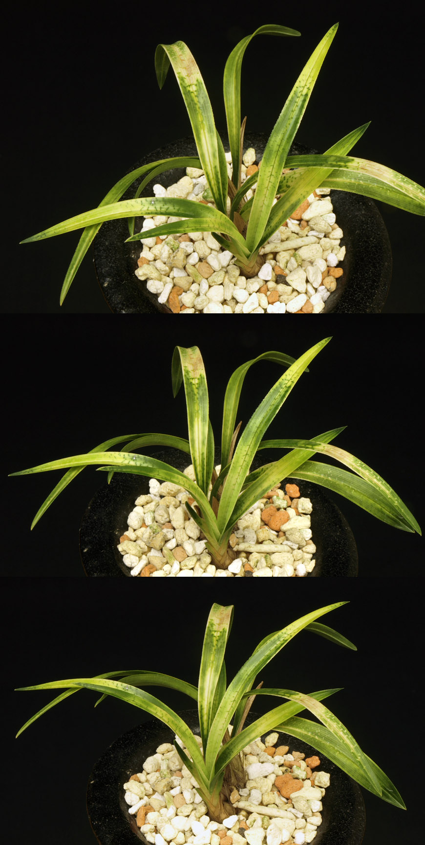 ������ ū������ �� �� �ֽ��ϴ�.