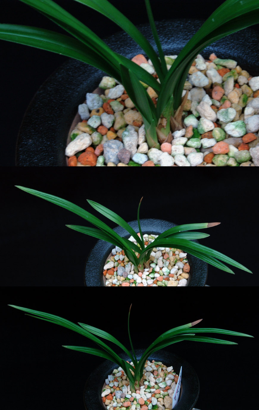 ������ ū������ �� �� �ֽ��ϴ�.