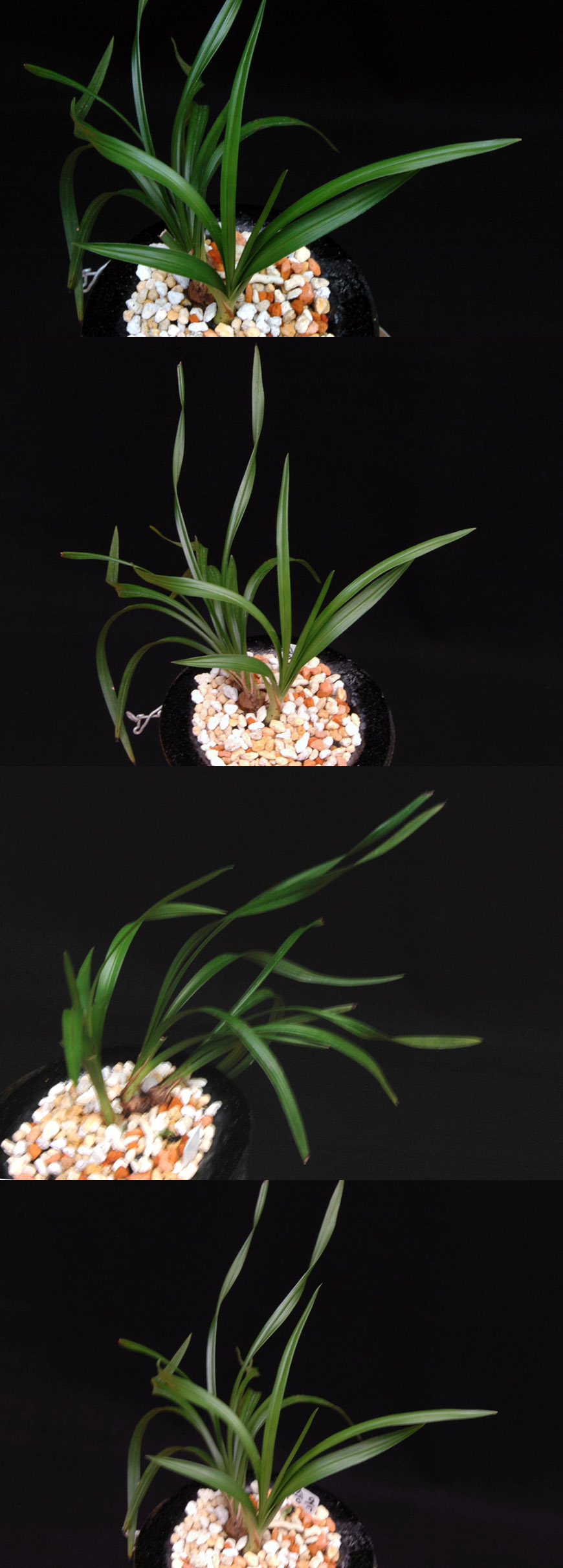 ������ ū������ �� �� �ֽ��ϴ�.