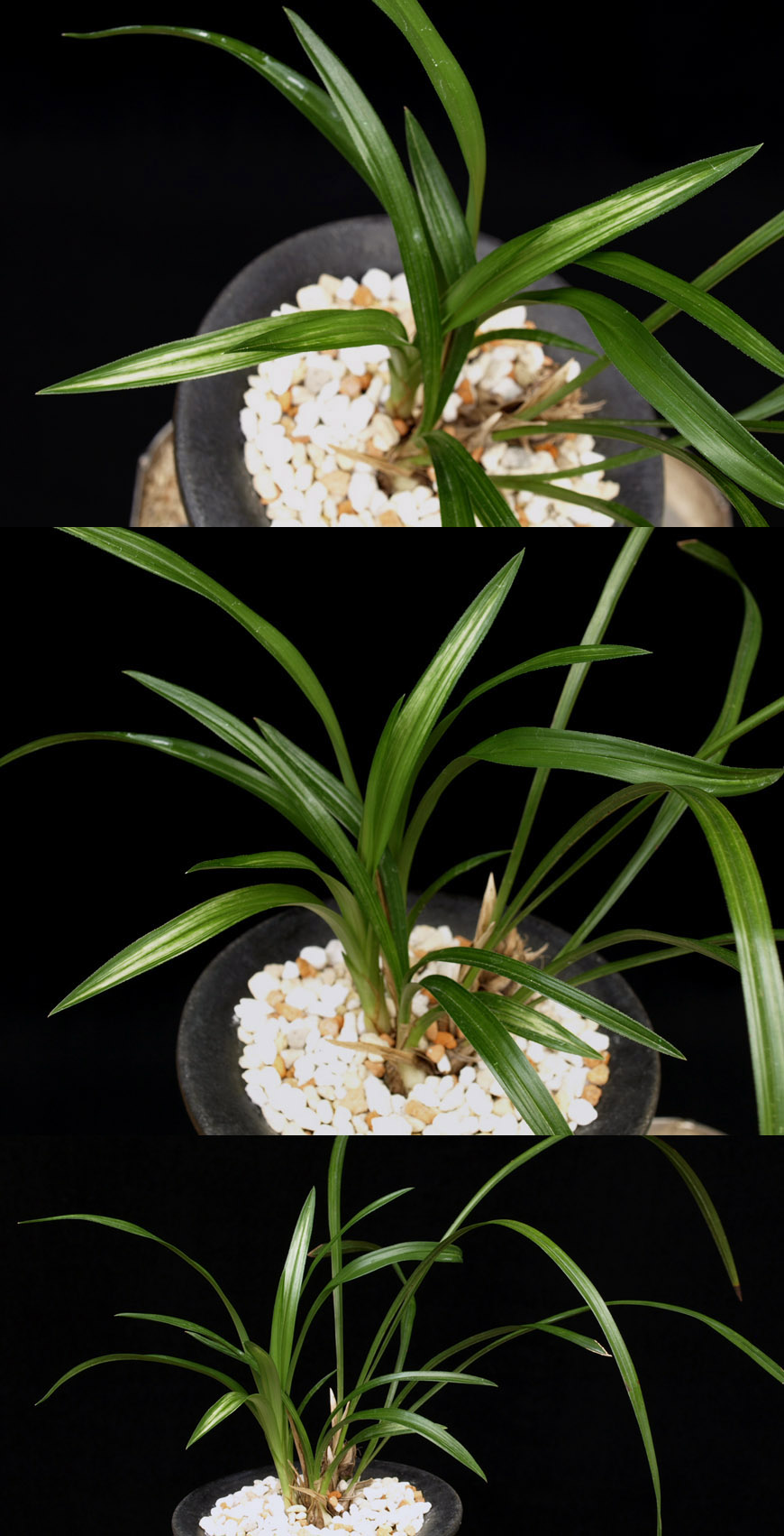 ������ ū������ �� �� �ֽ��ϴ�.