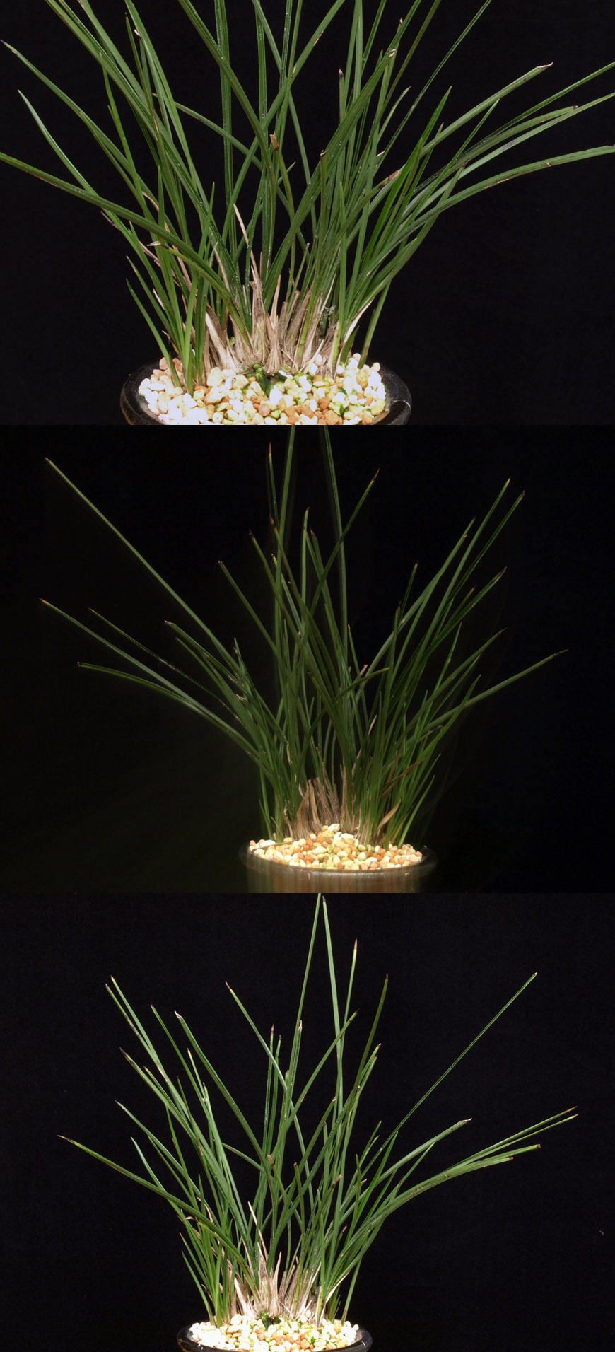 ������ ū������ �� �� �ֽ��ϴ�.