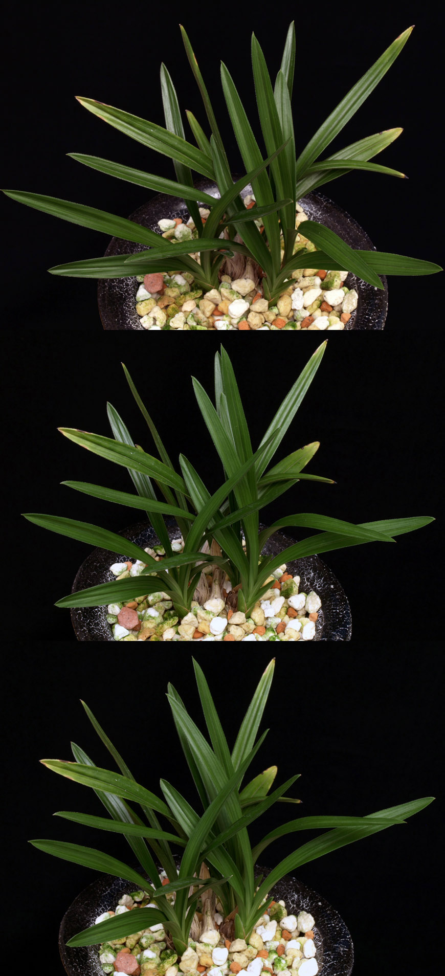 ������ ū������ �� �� �ֽ��ϴ�.