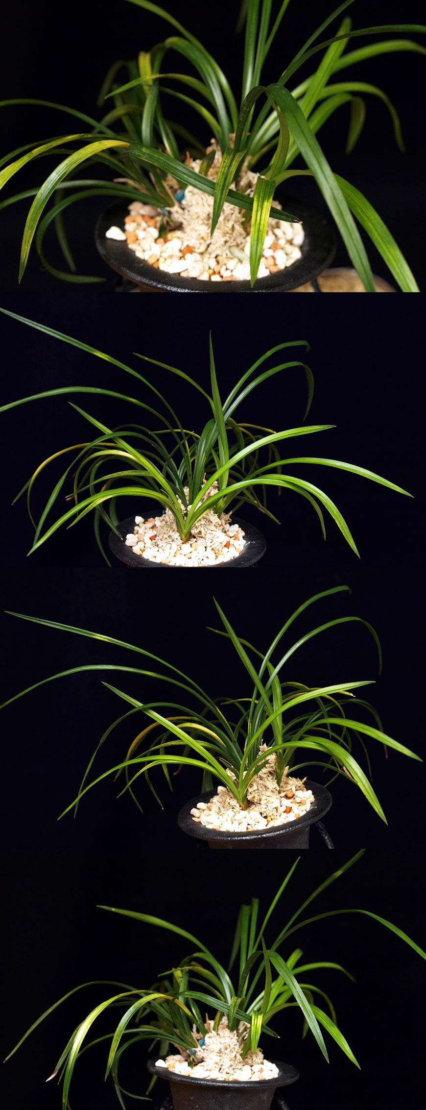 ������ ū������ �� �� �ֽ��ϴ�.