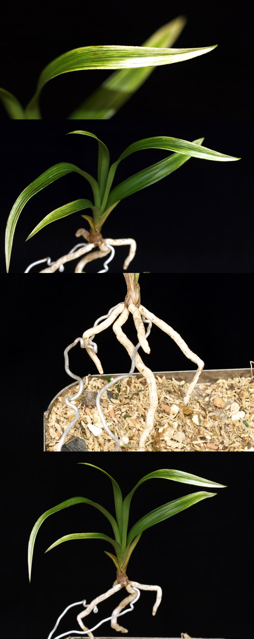 ������ ū������ �� �� �ֽ��ϴ�.