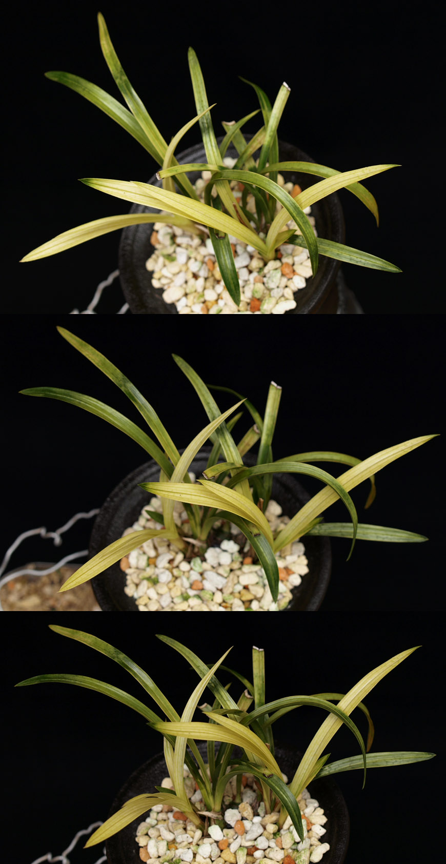 ������ ū������ �� �� �ֽ��ϴ�.