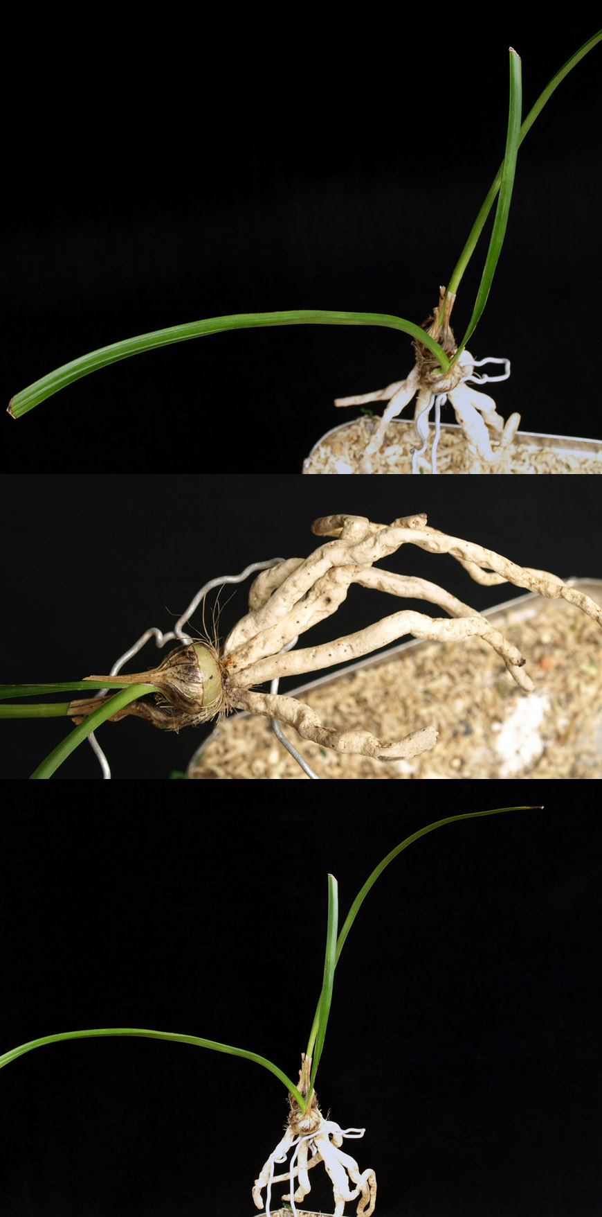 ������ ū������ �� �� �ֽ��ϴ�.