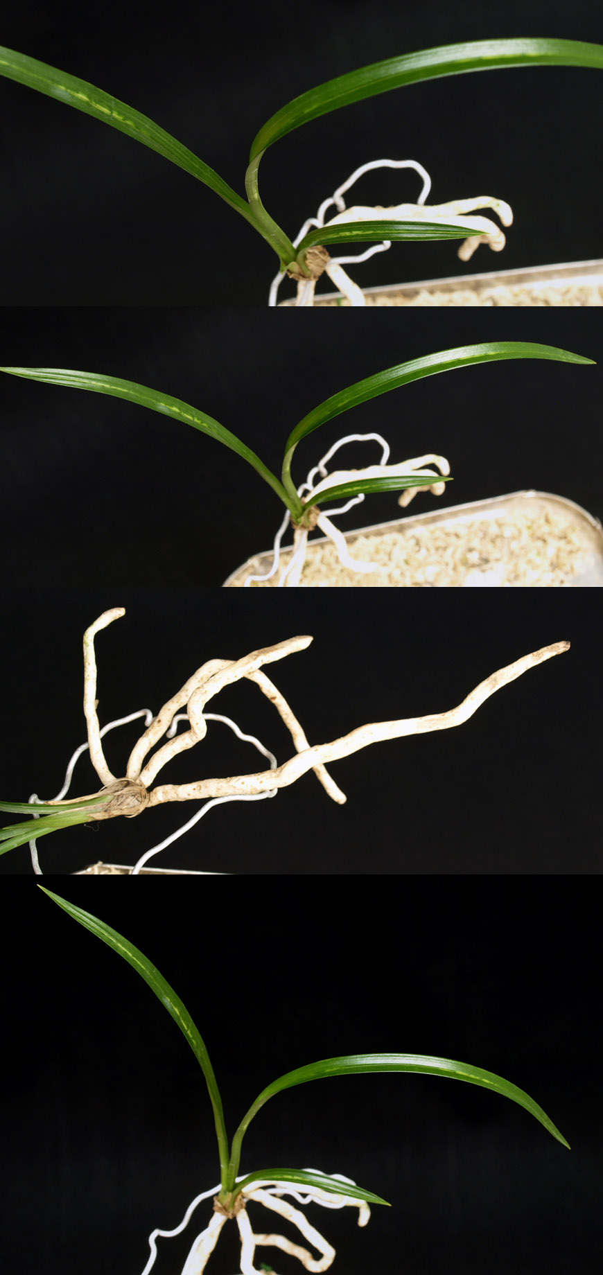 ������ ū������ �� �� �ֽ��ϴ�.