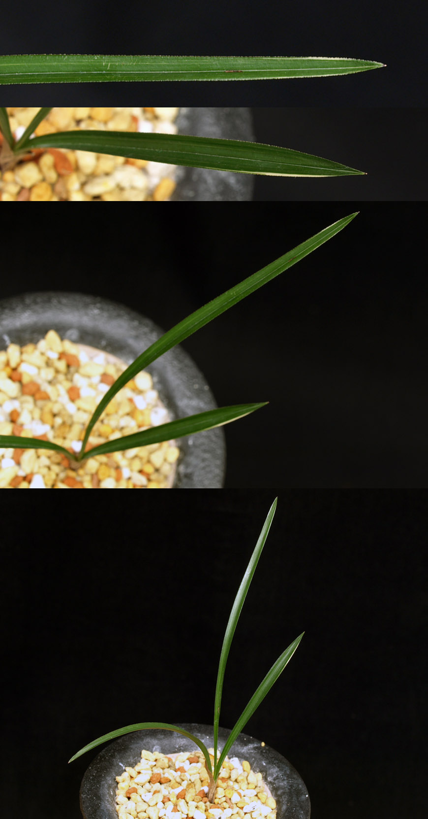 ������ ū������ �� �� �ֽ��ϴ�.