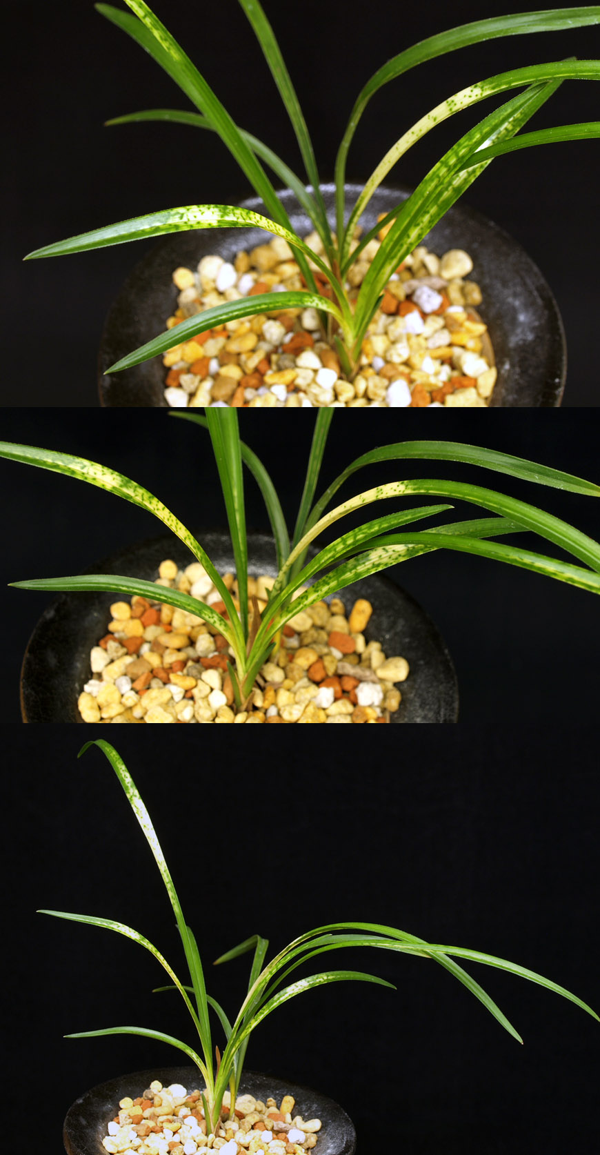 ������ ū������ �� �� �ֽ��ϴ�.