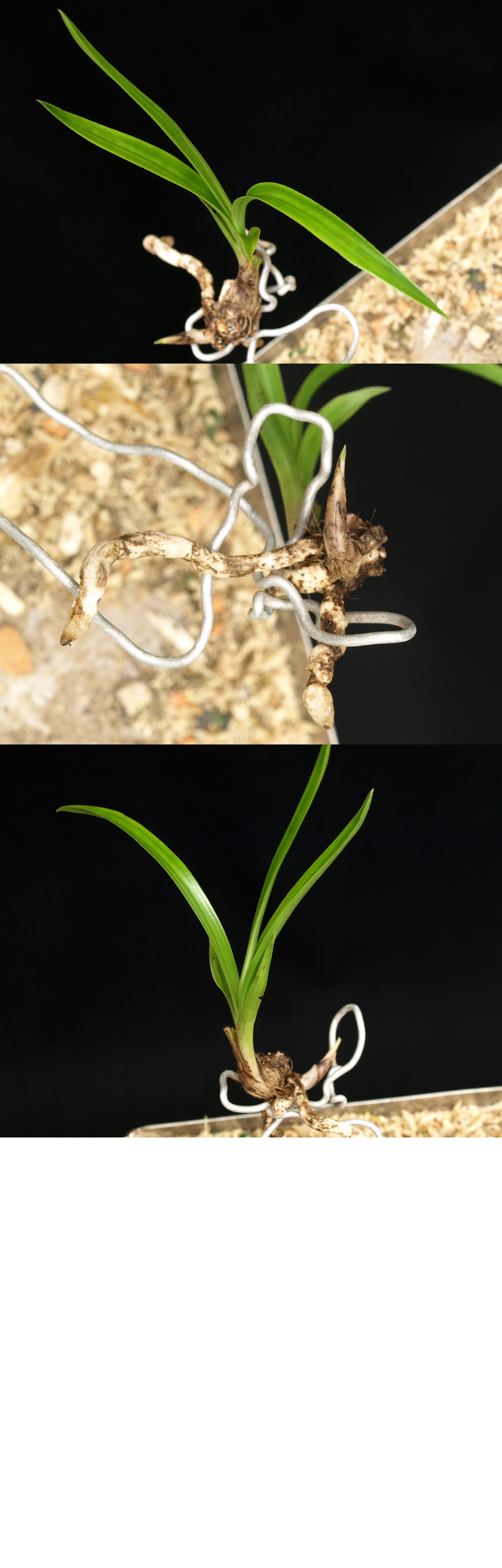 ������ ū������ �� �� �ֽ��ϴ�.