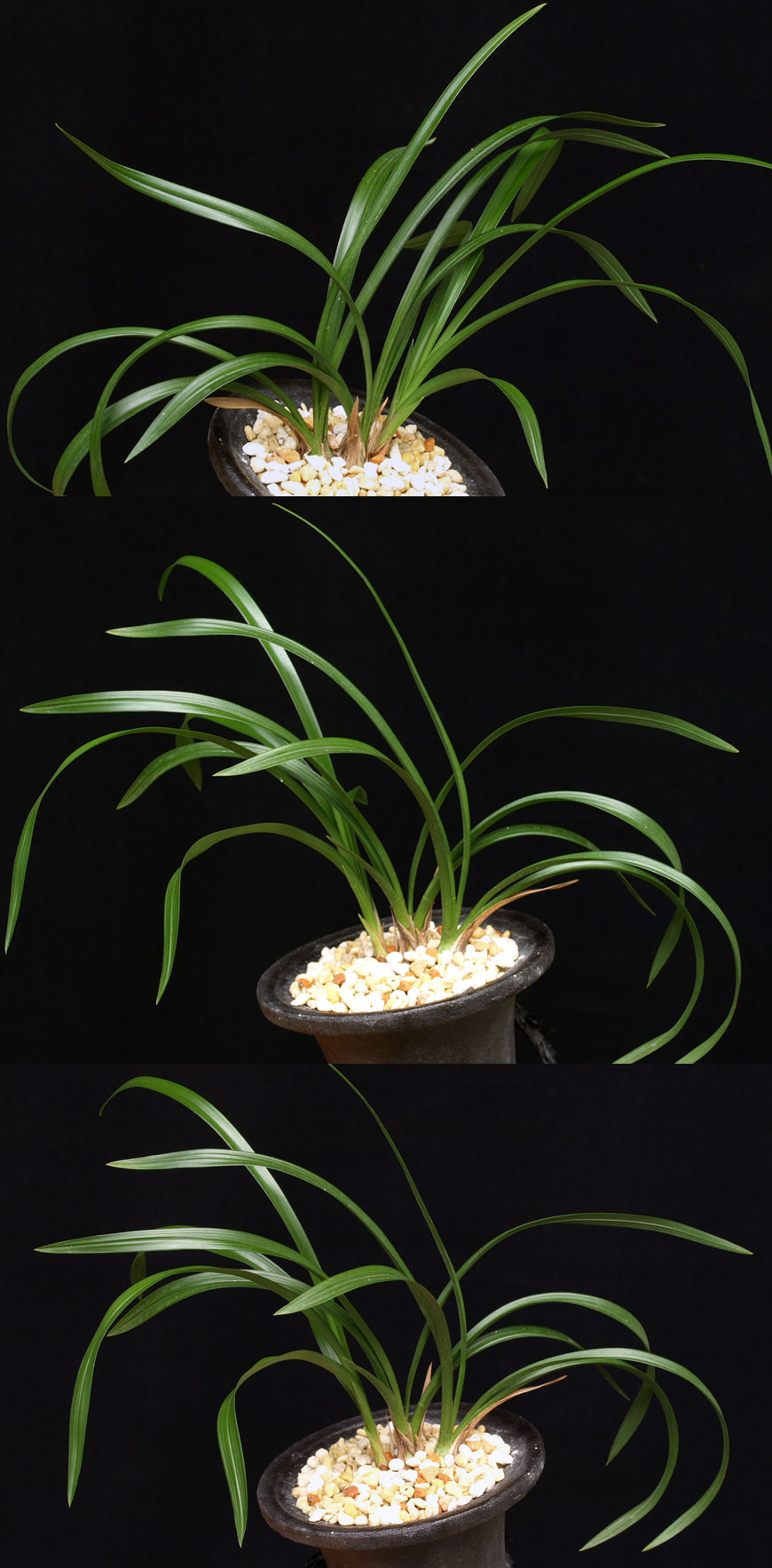 ������ ū������ �� �� �ֽ��ϴ�.