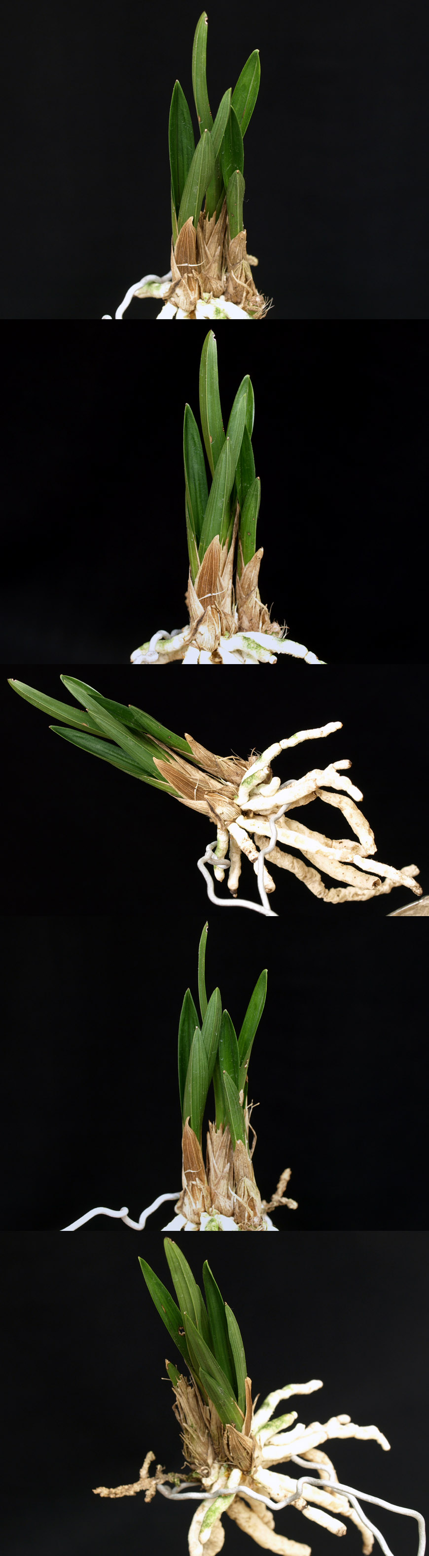 ������ ū������ �� �� �ֽ��ϴ�.