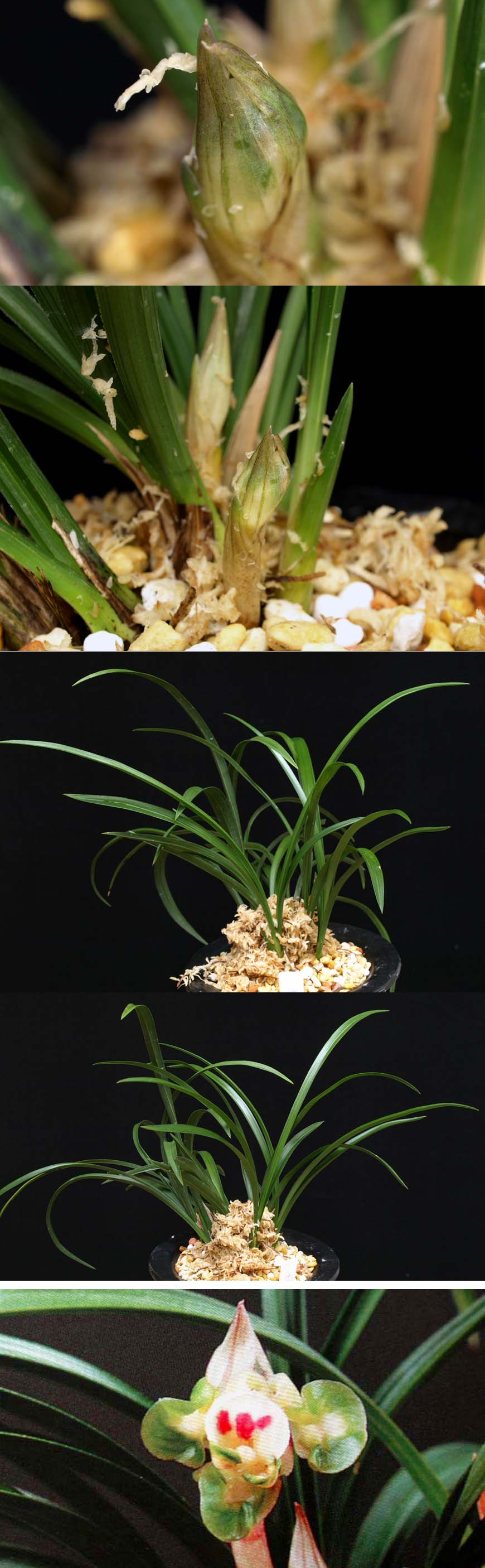 ������ ū������ �� �� �ֽ��ϴ�.