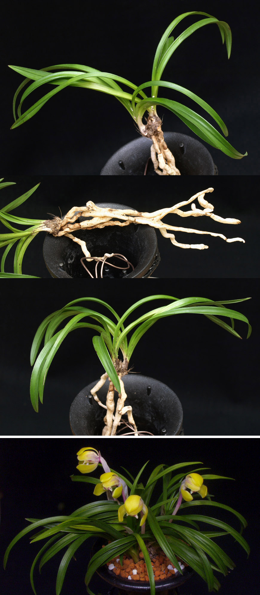 ������ ū������ �� �� �ֽ��ϴ�.