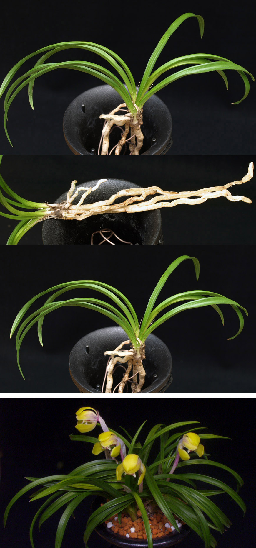 ������ ū������ �� �� �ֽ��ϴ�.