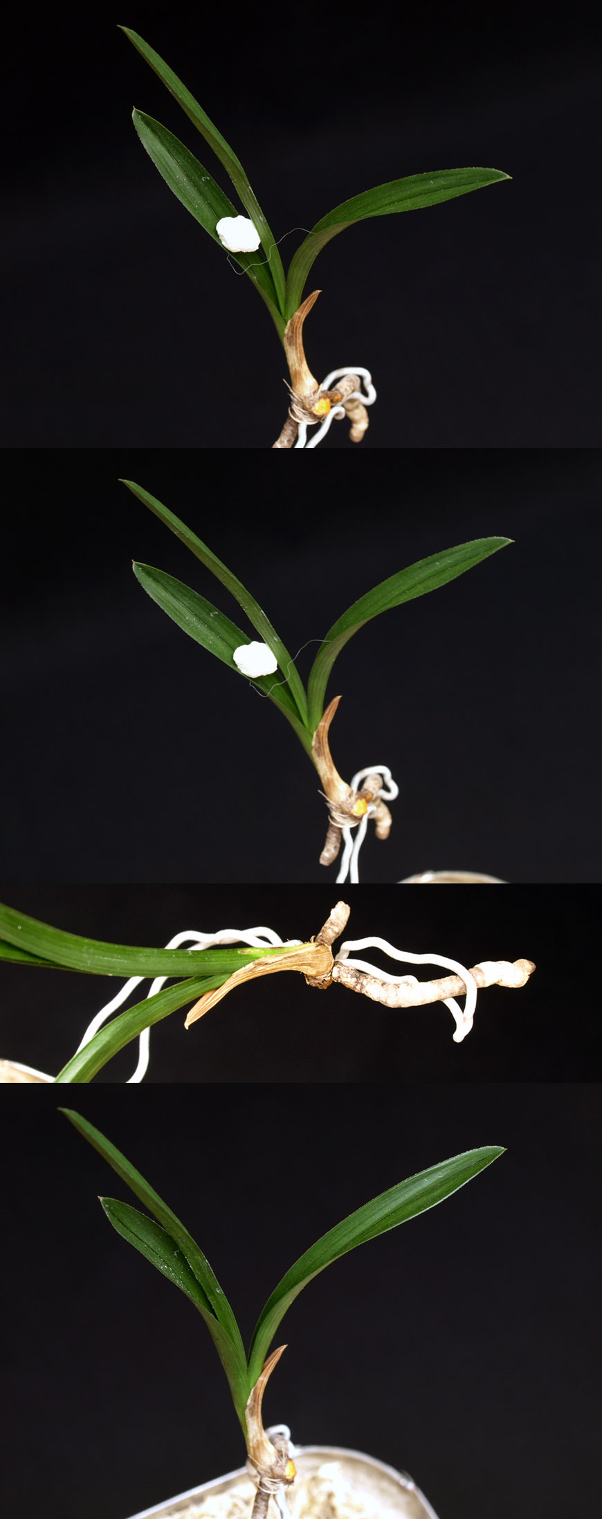 ������ ū������ �� �� �ֽ��ϴ�.