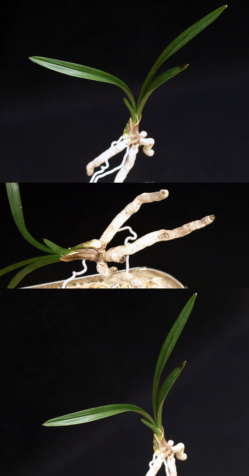 ������ ū������ �� �� �ֽ��ϴ�.