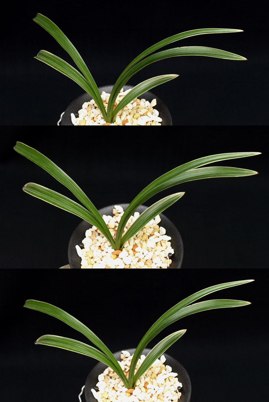 ������ ū������ �� �� �ֽ��ϴ�.