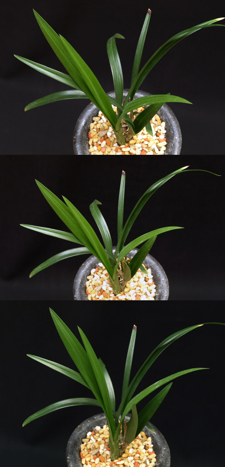 ������ ū������ �� �� �ֽ��ϴ�.