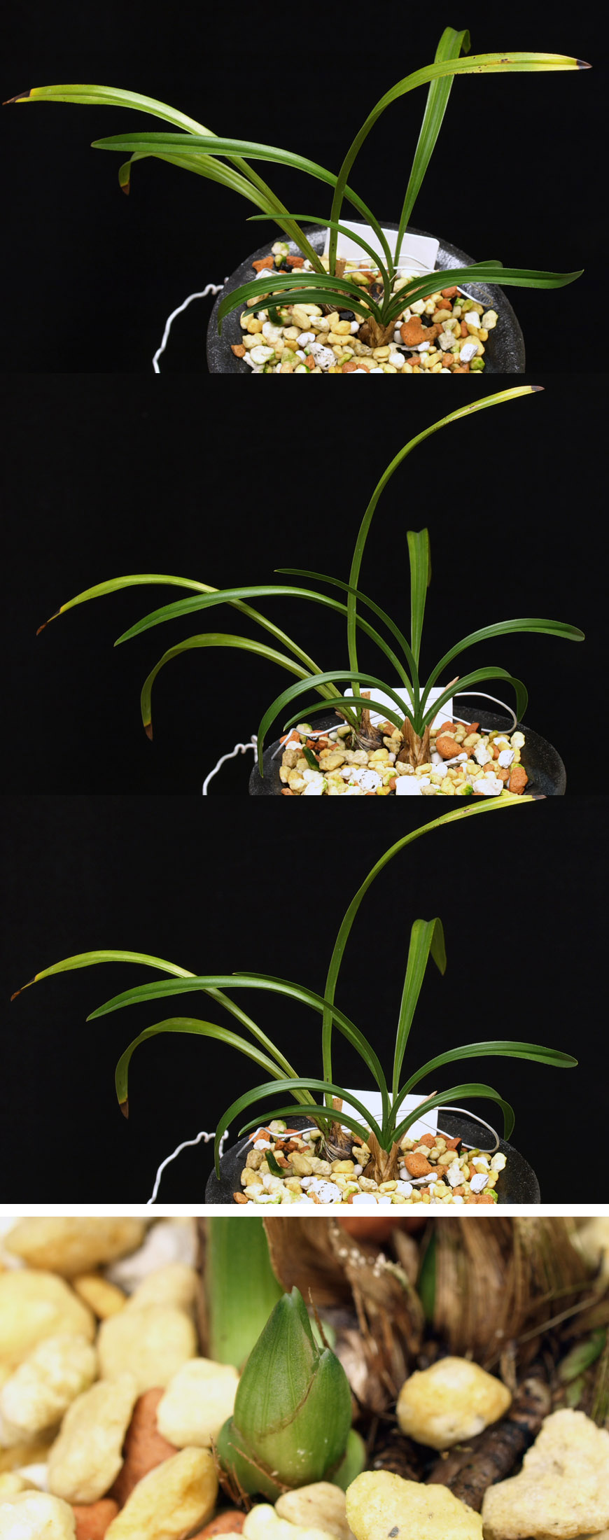 ������ ū������ �� �� �ֽ��ϴ�.