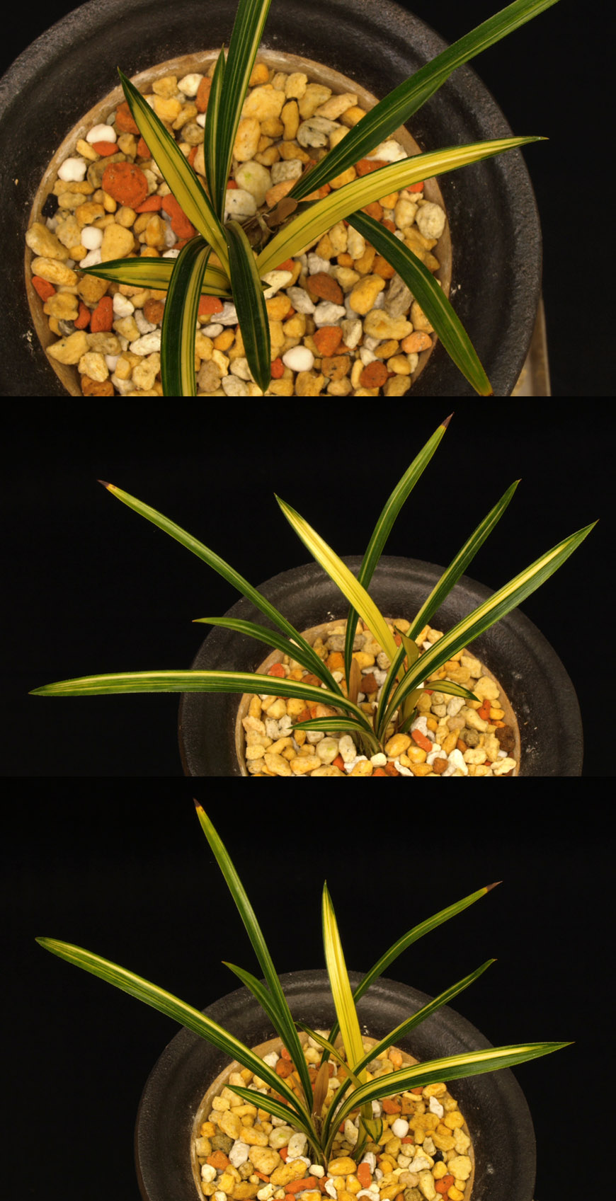 ������ ū������ �� �� �ֽ��ϴ�.