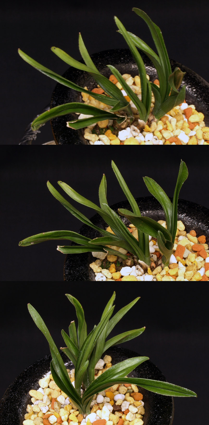 ������ ū������ �� �� �ֽ��ϴ�.