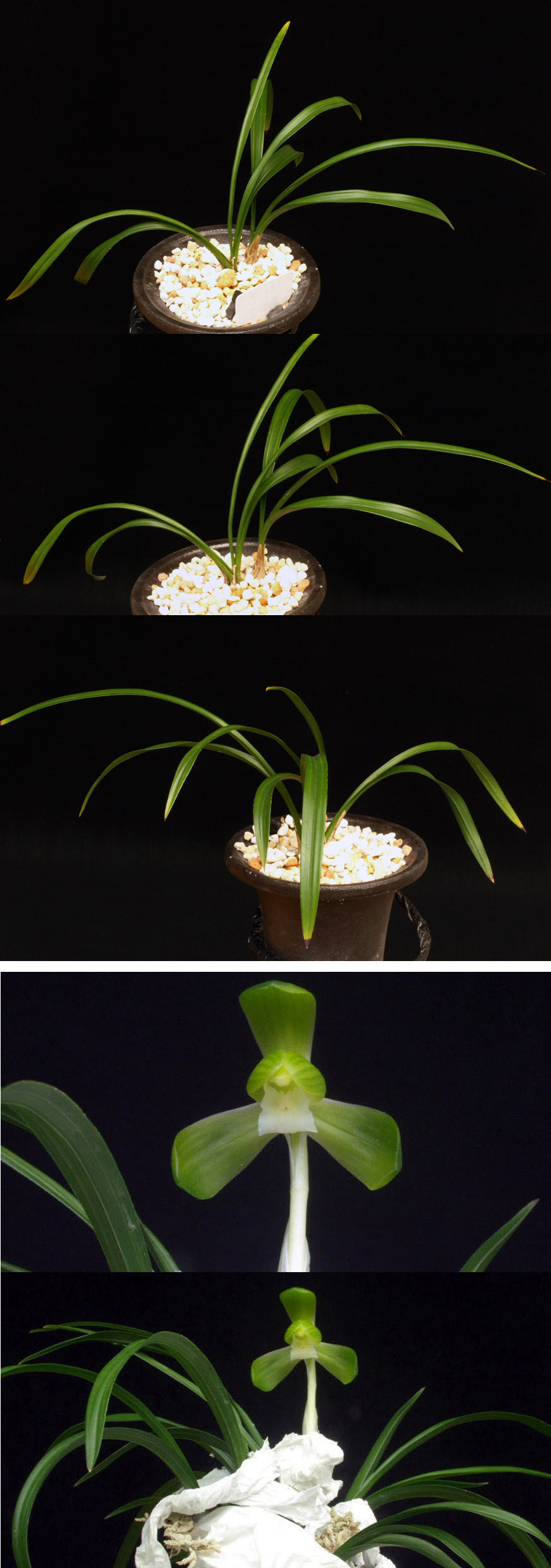 ������ ū������ �� �� �ֽ��ϴ�.