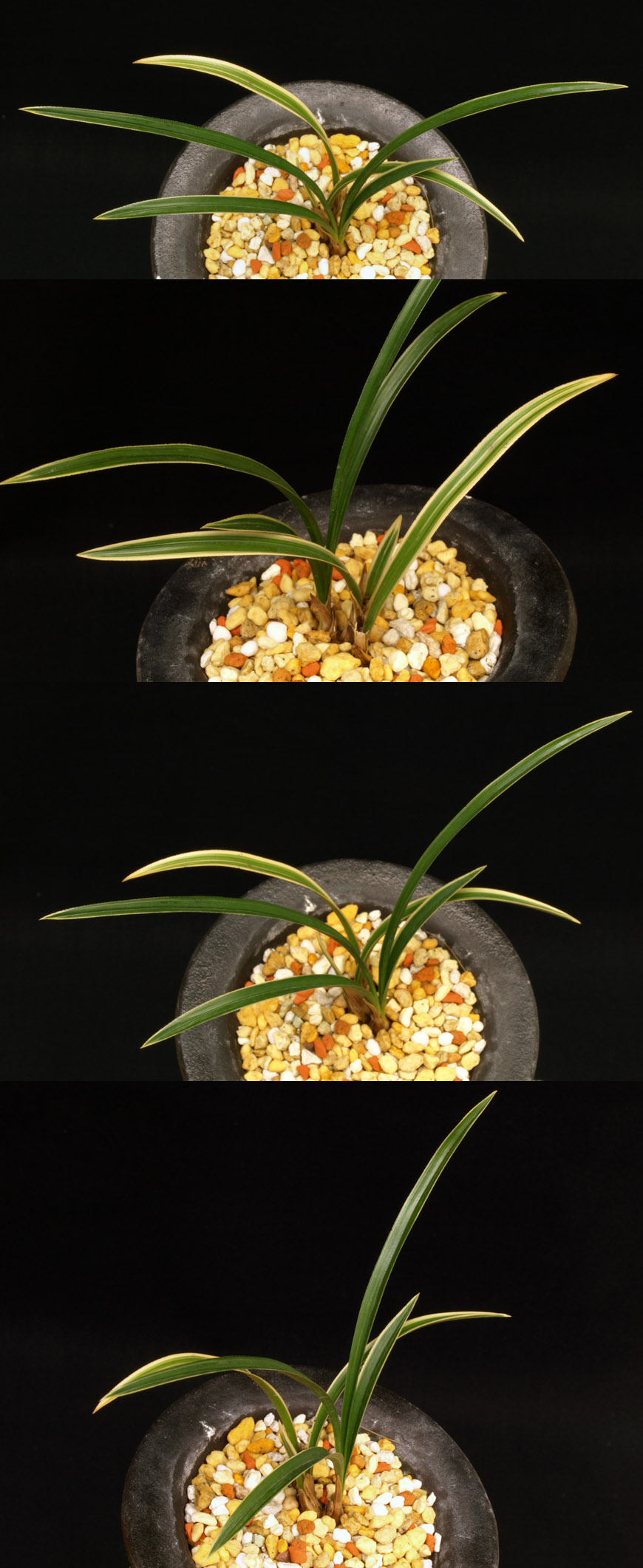 ������ ū������ �� �� �ֽ��ϴ�.