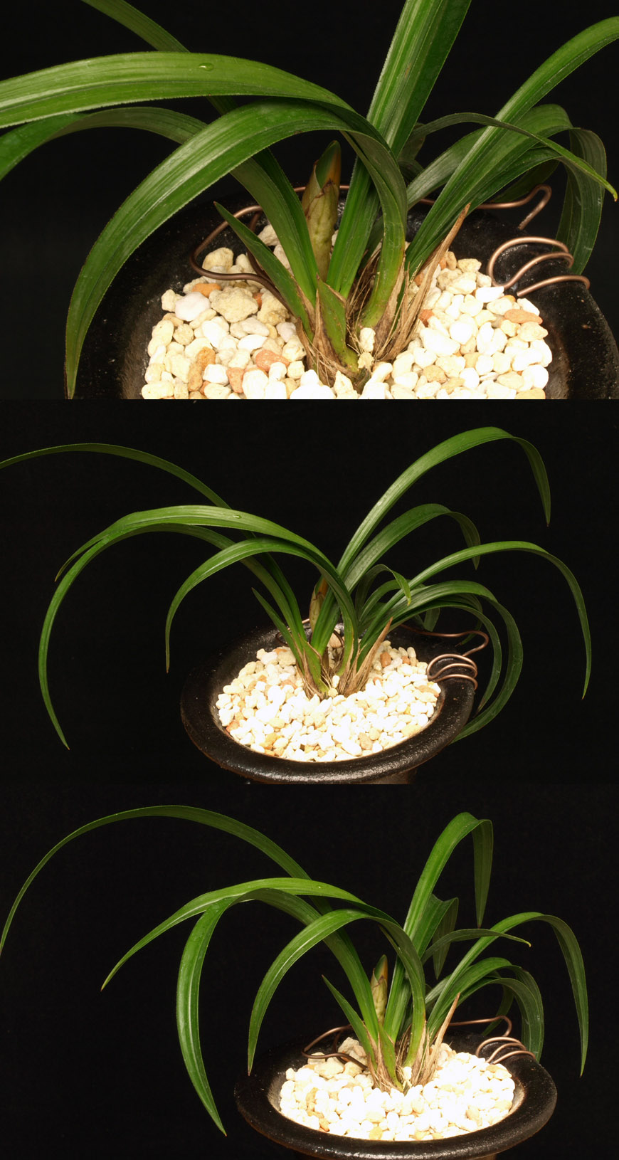 ������ ū������ �� �� �ֽ��ϴ�.