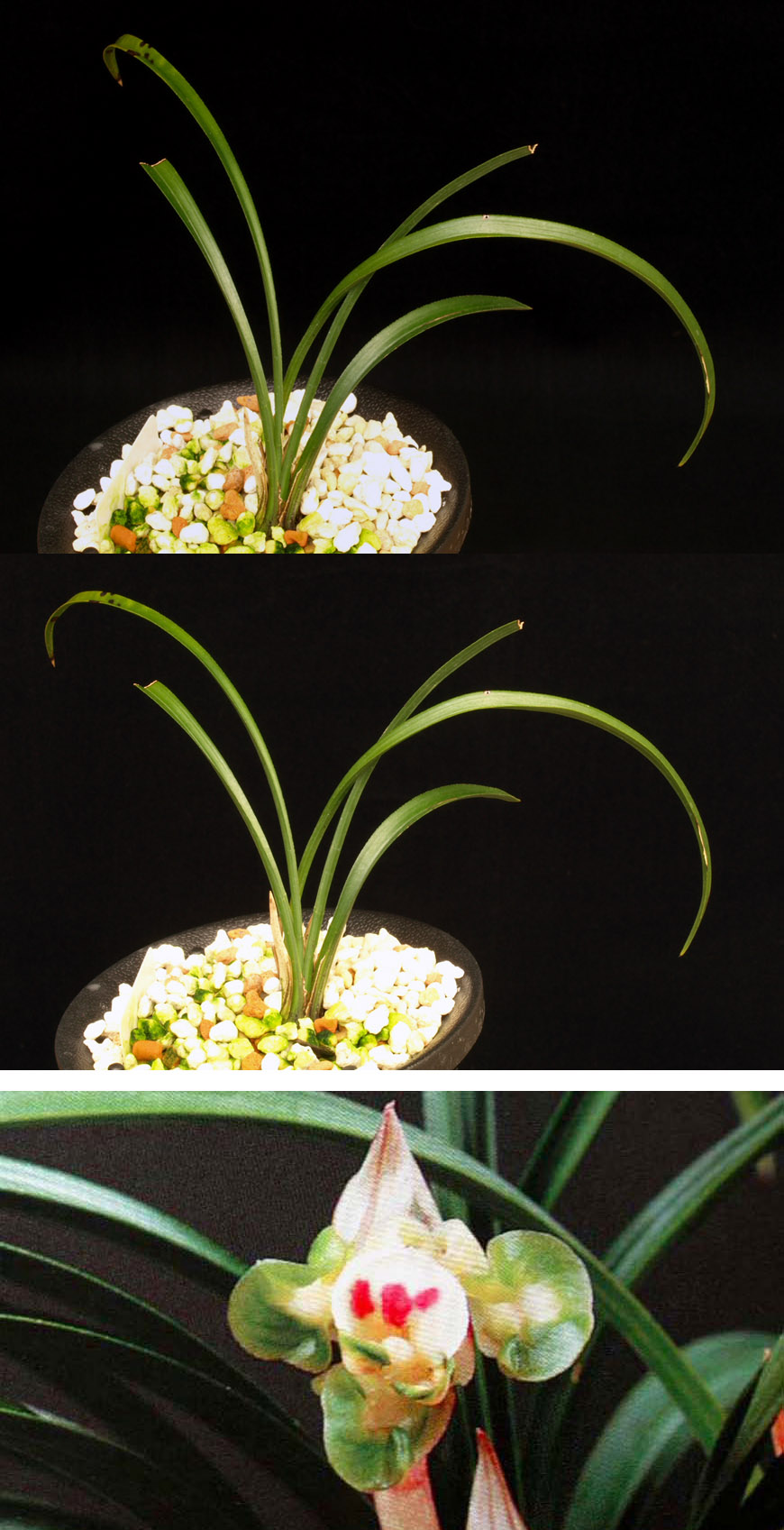 ������ ū������ �� �� �ֽ��ϴ�.