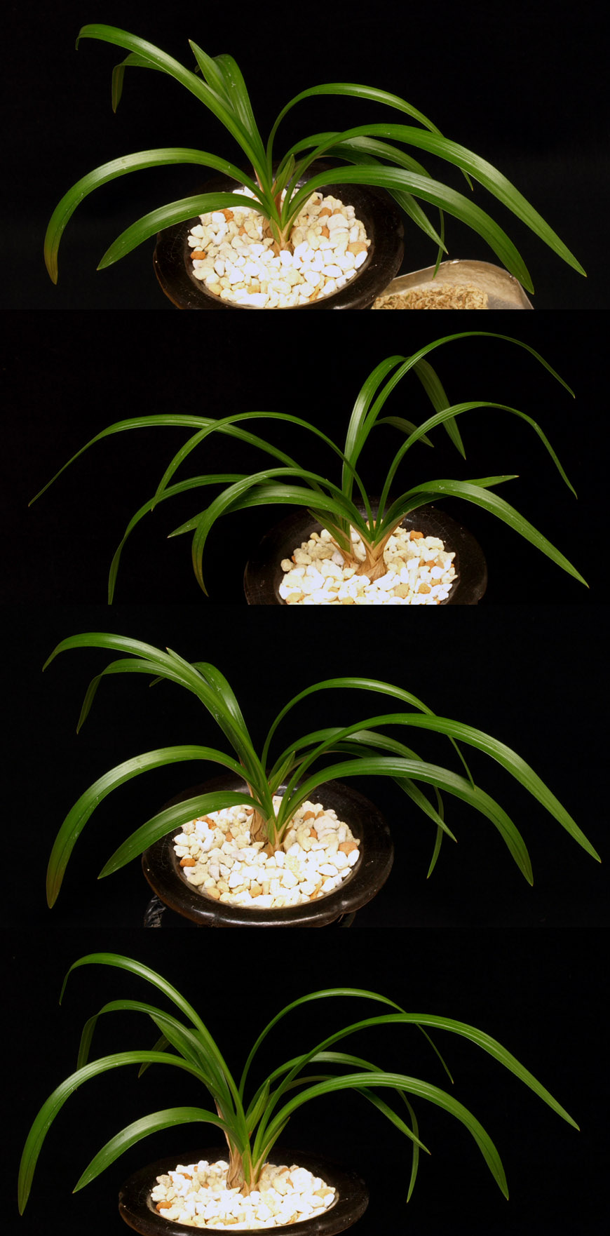 ������ ū������ �� �� �ֽ��ϴ�.