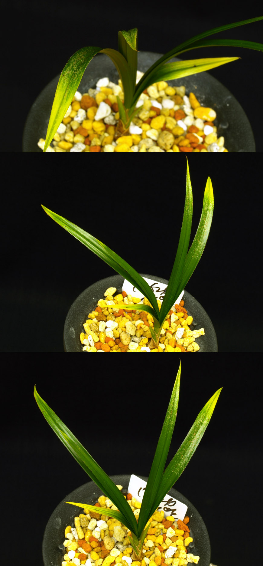 ������ ū������ �� �� �ֽ��ϴ�.