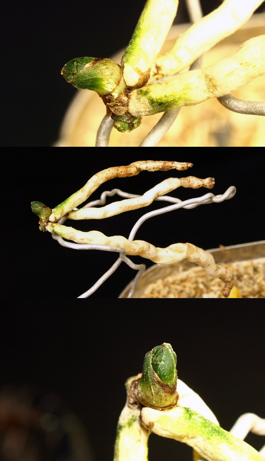 ������ ū������ �� �� �ֽ��ϴ�.