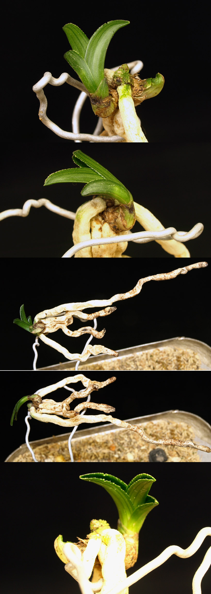 ������ ū������ �� �� �ֽ��ϴ�.