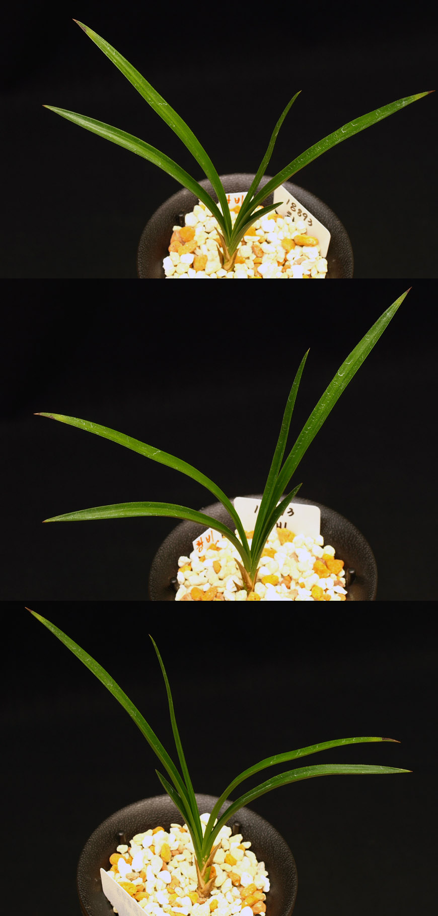 ������ ū������ �� �� �ֽ��ϴ�.