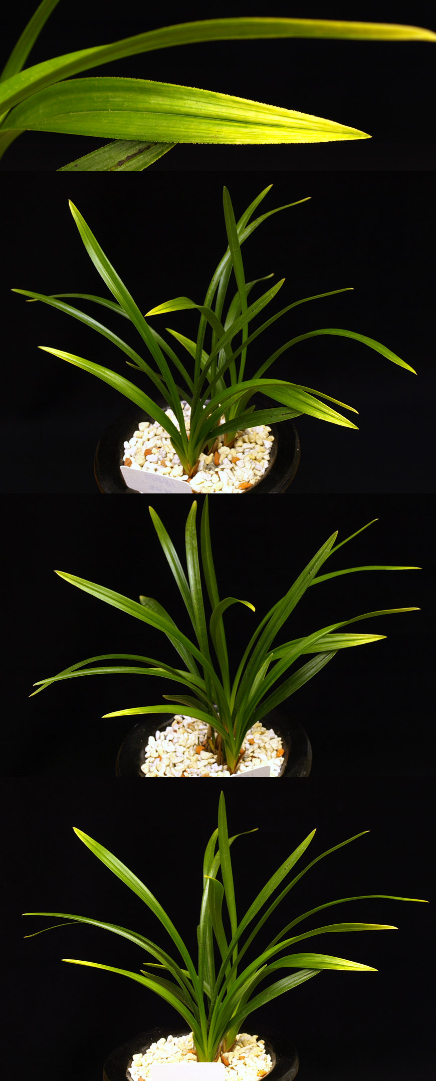 ������ ū������ �� �� �ֽ��ϴ�.