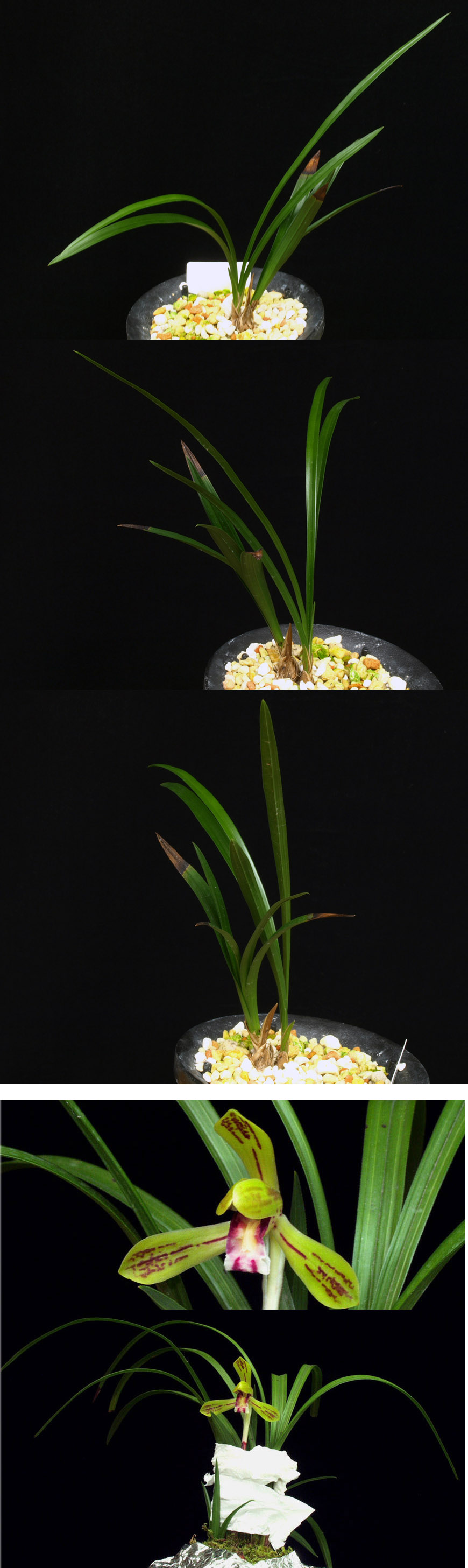 ������ ū������ �� �� �ֽ��ϴ�.