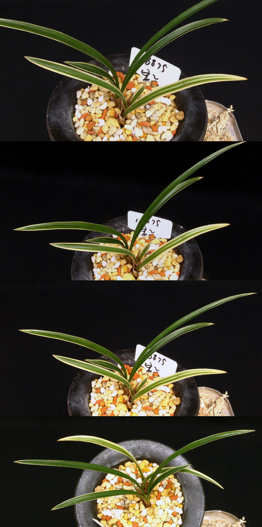 ������ ū������ �� �� �ֽ��ϴ�.