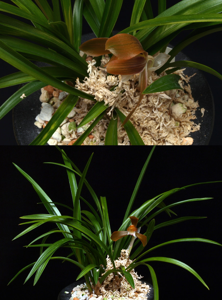 ������ ū������ �� �� �ֽ��ϴ�.