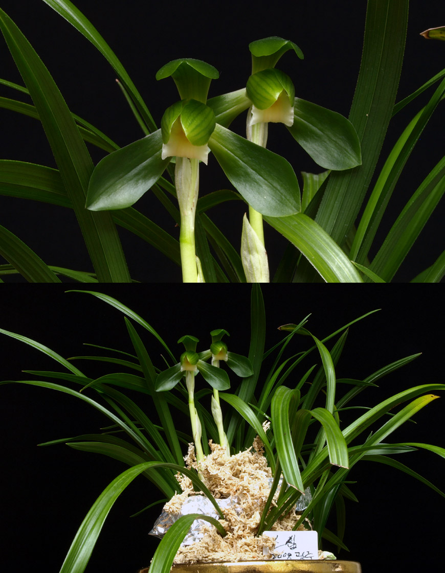 ������ ū������ �� �� �ֽ��ϴ�.