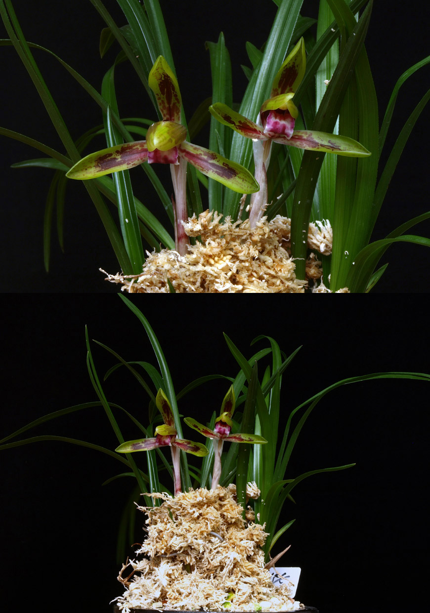 ������ ū������ �� �� �ֽ��ϴ�.