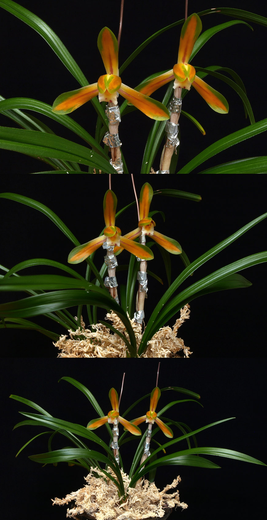 ������ ū������ �� �� �ֽ��ϴ�.