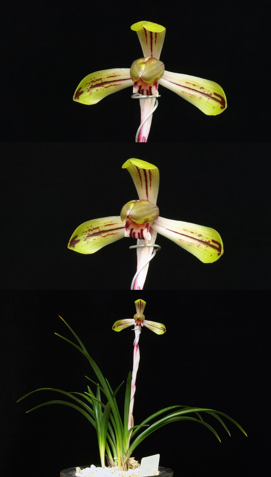 ������ ū������ �� �� �ֽ��ϴ�.